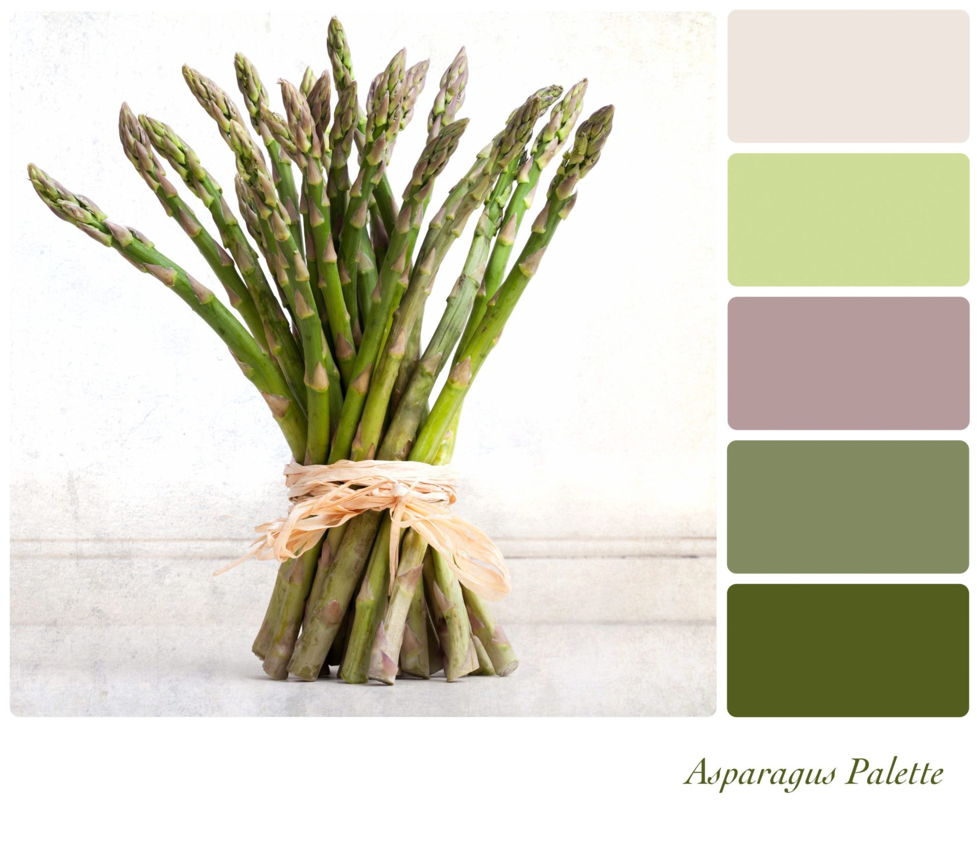 asparagus palette