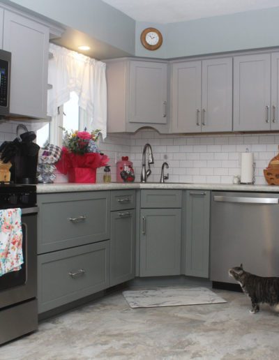 Kitchen remodel